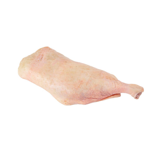 Duck Leg
