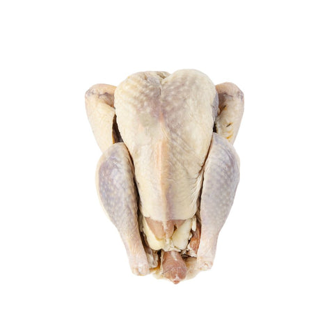 Partridge