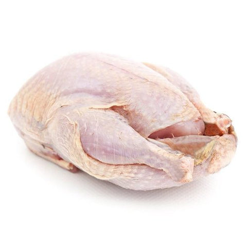 Partridge