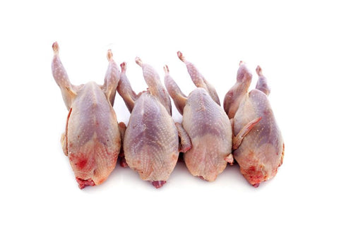 Quail