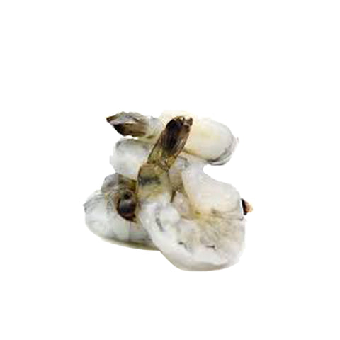 Selva Shrimp