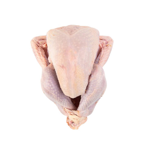 Alberta raised turkey that is air-chilled. Always fresh, never frozen. 6.99 / lb